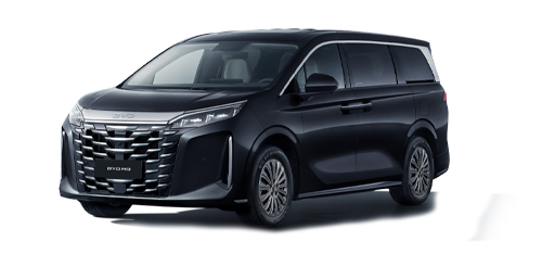 BYD M9